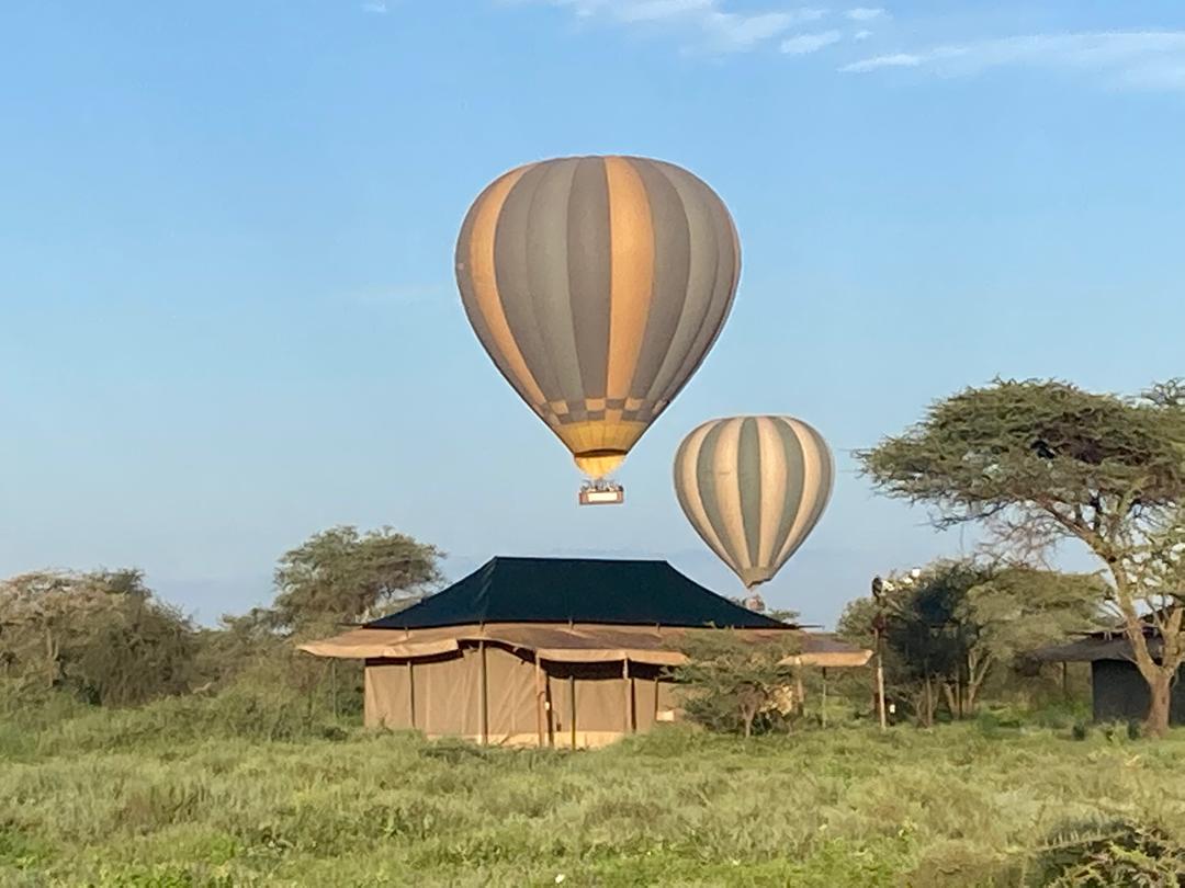 Balloon